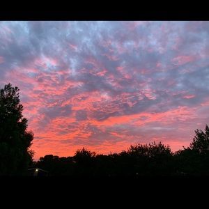 Meet your Posher, Janee